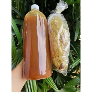 Mật ong ruồi rừng DakLak Tâm Phúc
