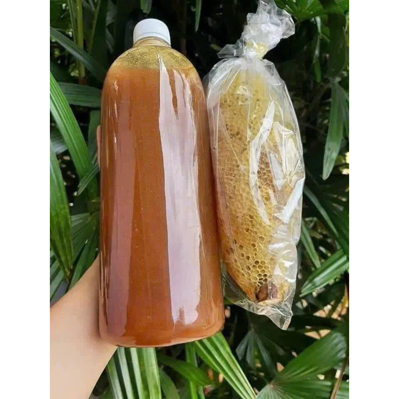 Mật ong ruồi rừng DakLak Tâm Phúc